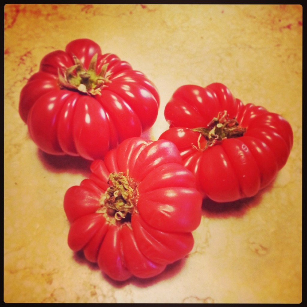 Tuscan tomatoes