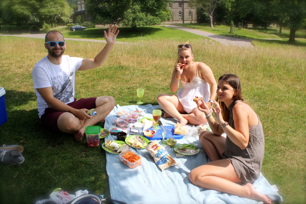 Picnic at Lyme Park with the gang