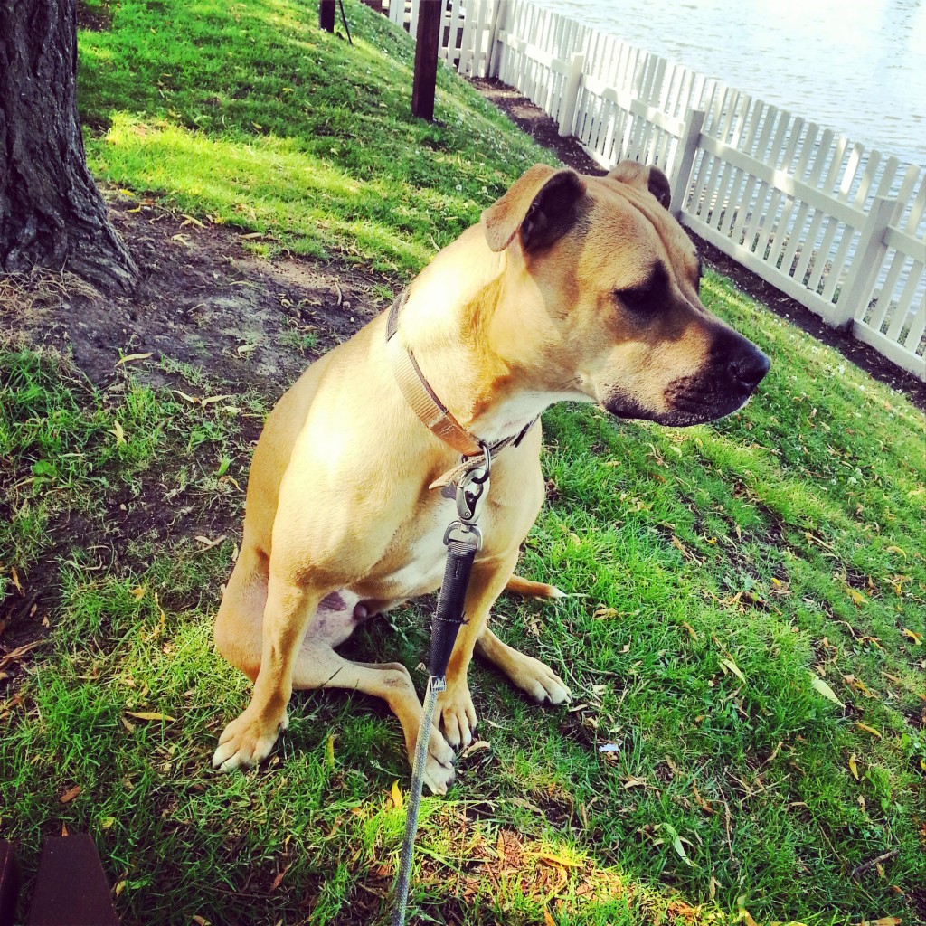 Bobbi relaxing by the river