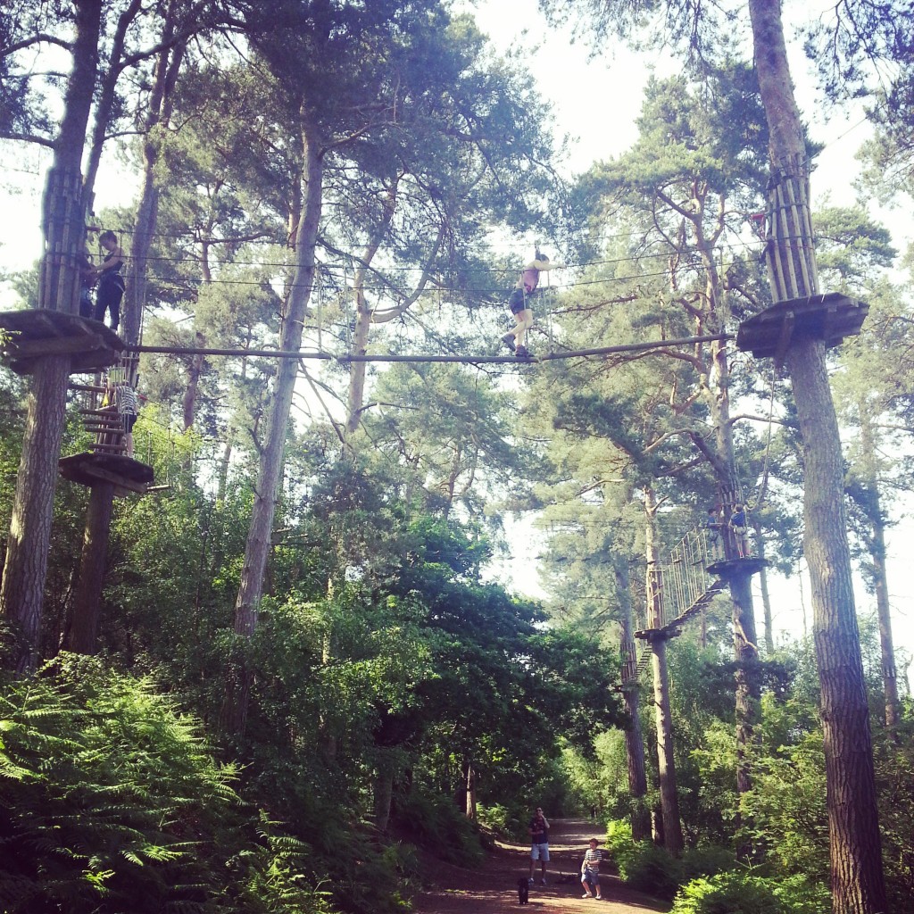 Go ape Delamere Forest