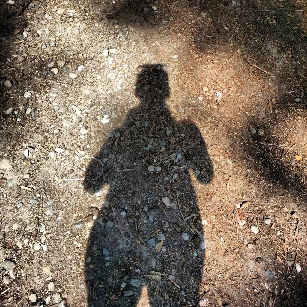 My shadow Delamere Forest