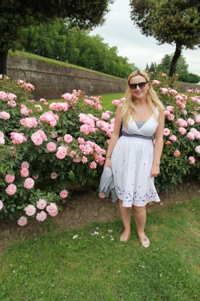 honeymoon in tuscany hollygoeslightly lucca rosebush