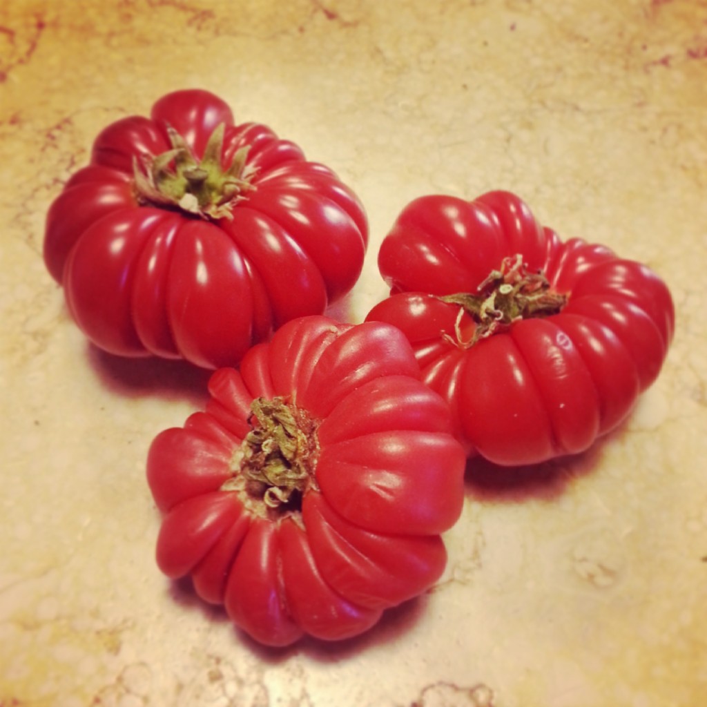 a-year-in-instagram-photos-italian-tomatoes