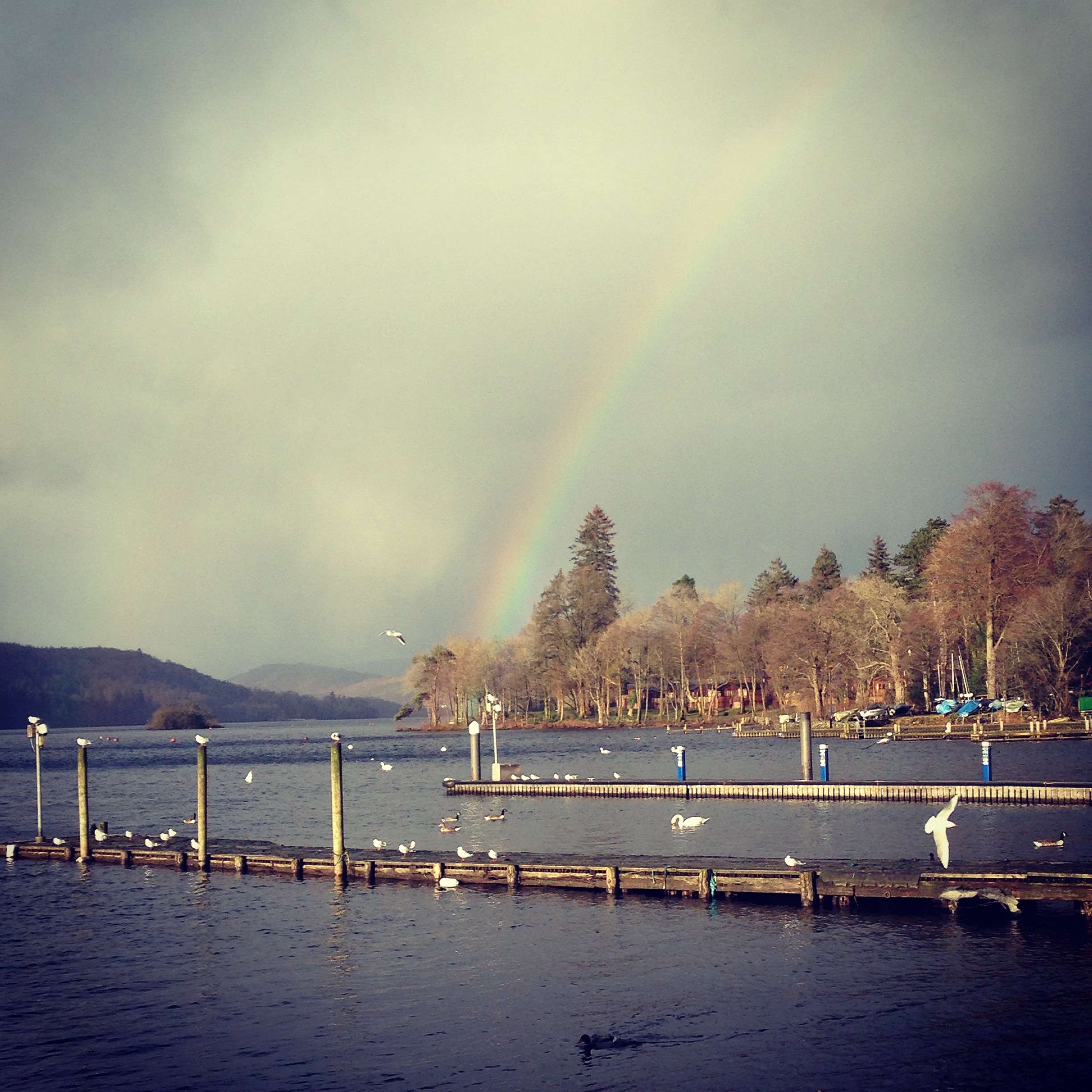 bowness on windermere hollygoeslightly lake rainbow