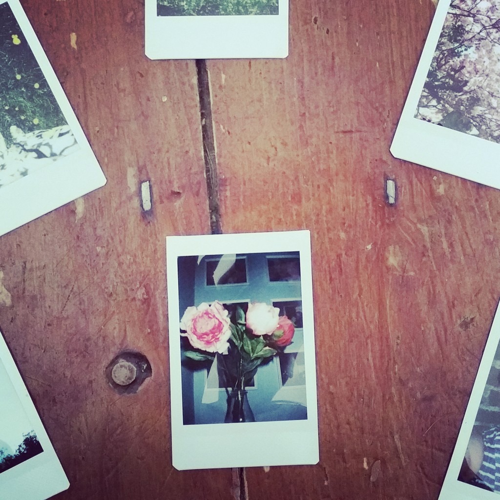 spring is finally here polaroid peonies hollygoeslightly