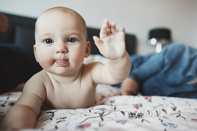 a family lifestyle photoshoot baby waving hollygoeslightly