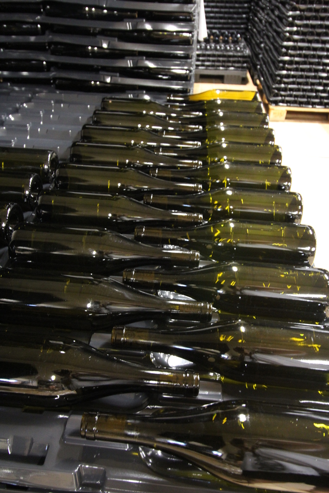 wine tasting in tuscany fattoria fibbiano bottle production hollygoeslightly