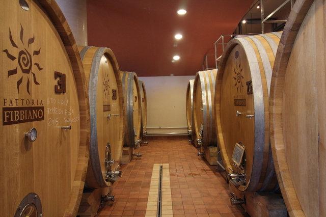 wine tasting in tuscany fattoria fibbiano oak wine barrels hollygoeslightly