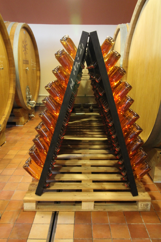 wine tasting in tuscany fattoria fibbiano rose wine storage hollygoeslightly