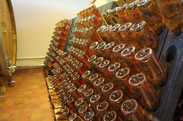 wine tasting in tuscany fattoria fibbiano rose wine stored hollygoeslightly