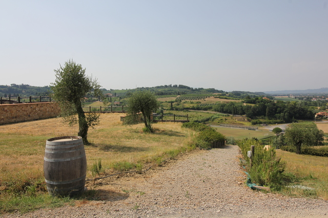 wine tasting in tuscany fattoria fibbiano tuscan hills hollygoeslightly