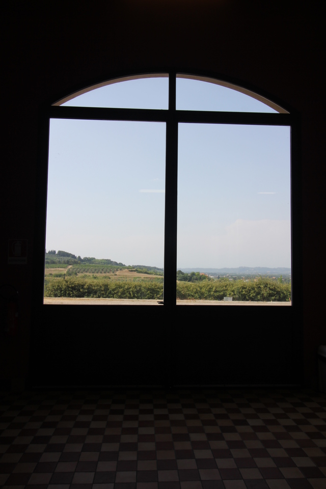 wine tasting in tuscany fattoria fibbiano view from window hollygoeslightly