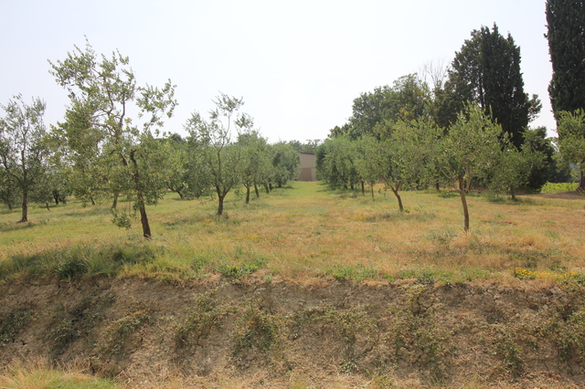 wine tasting in tuscany fattoria fibbiano vineyard hollygoeslightly