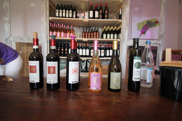wine tasting in tuscany fattoria fibbiano wine bottles hollygoeslightly