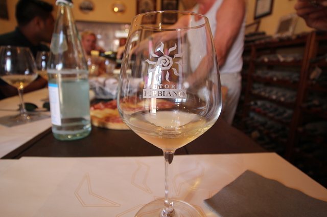 wine tasting in tuscany fattoria fibbiano wine glass hollygoeslightly