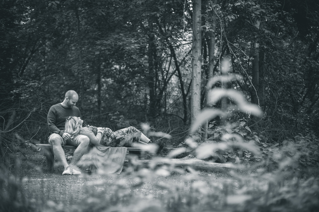 maternity photoshoot in the woods on bench hollygoeslightly