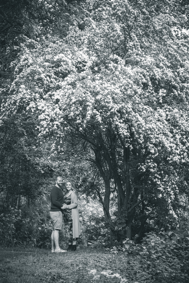 maternity photoshoot in the woods reportage trees hollygoeslightly