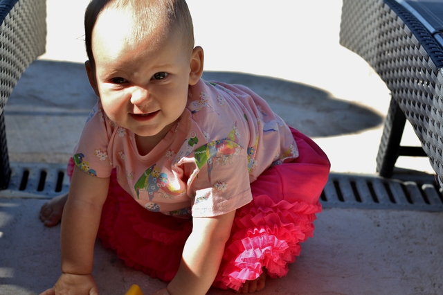 rockin baby pink tutu baby crawling hollygoeslightly