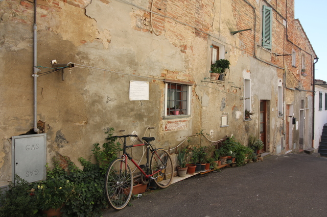 marina di pisa bicycle hollygoeslightly