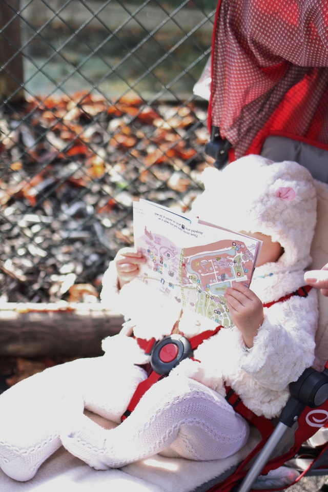 where to take your toddler chester zoo reading map hollygoeslightly