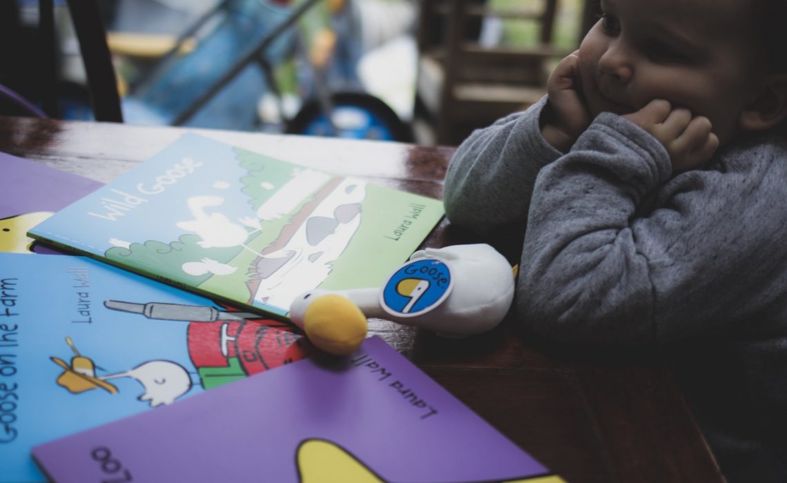 storytime goose and friends hollygoeslightly