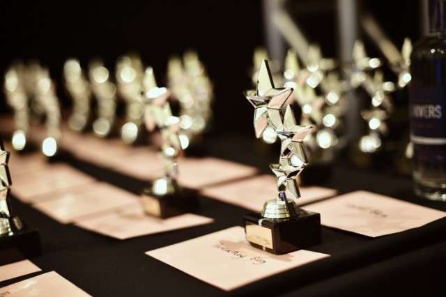 organiser northern blog awards awards trophies