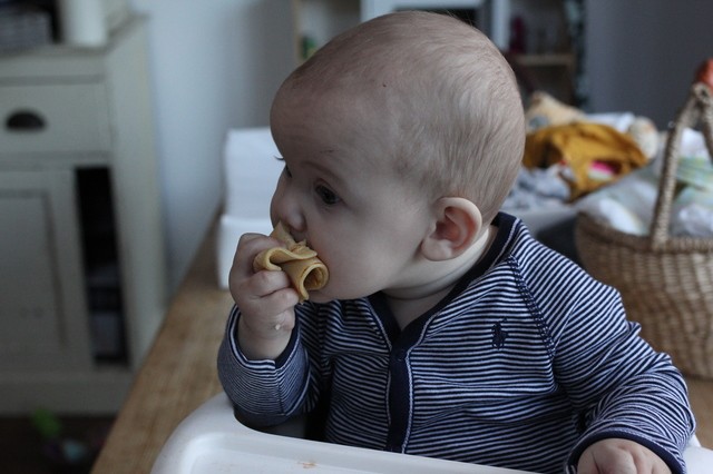 how to start baby led weaning hollygoeslightly 2