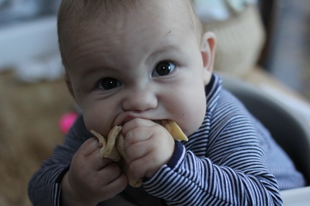 how to start baby led weaning hollygoeslightly 4