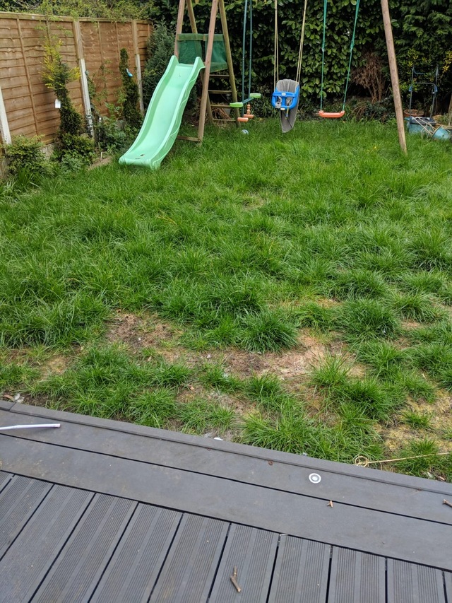 benefits of an artificial grass lawn hollygoeslightly before