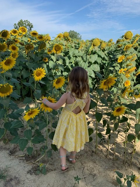 mum and daughter matching dresses boden sunflower fields